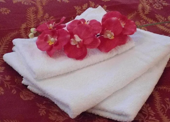 익스클루시브 베니스